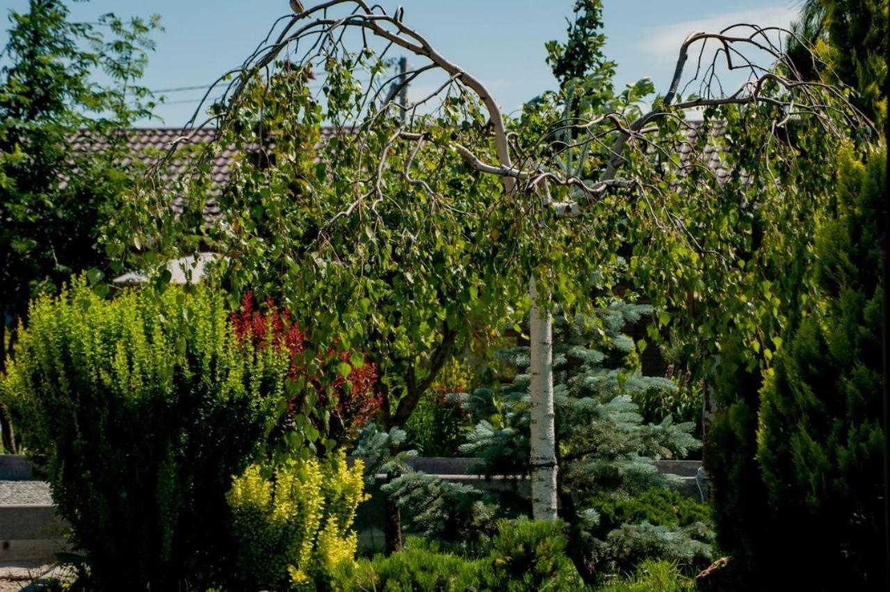 Villa Grand Family Rozhny Exteriör bild